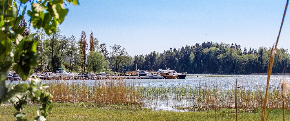 Vista de una marina tranquila en Espoo con botes atracados, rodeada de juncos y un denso bosque de pinos bajo un cielo azul despejado.